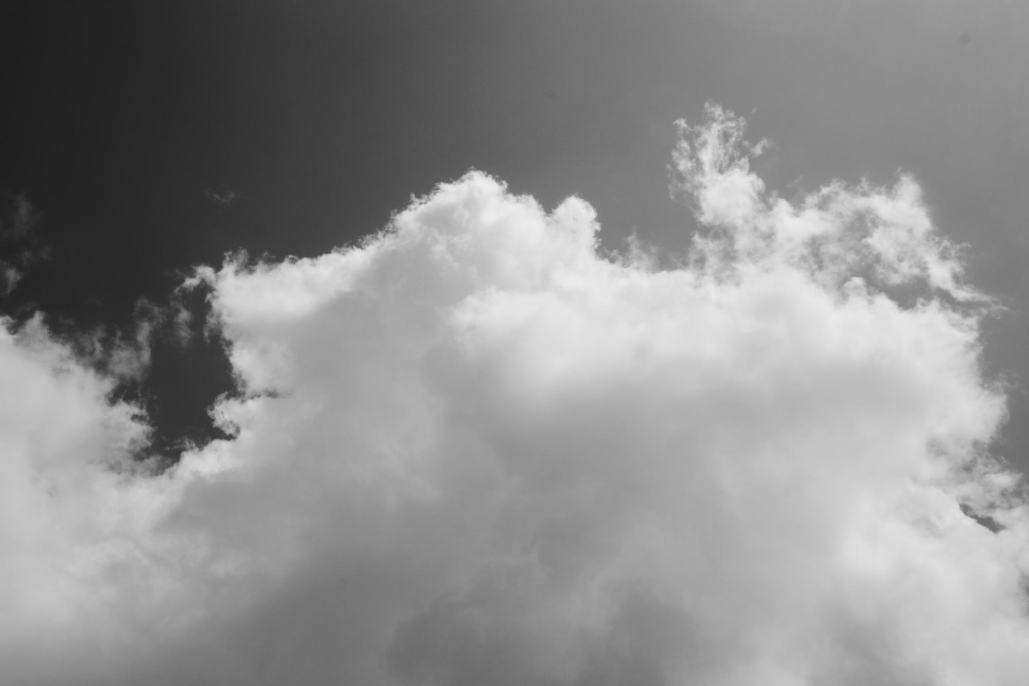 R0006662