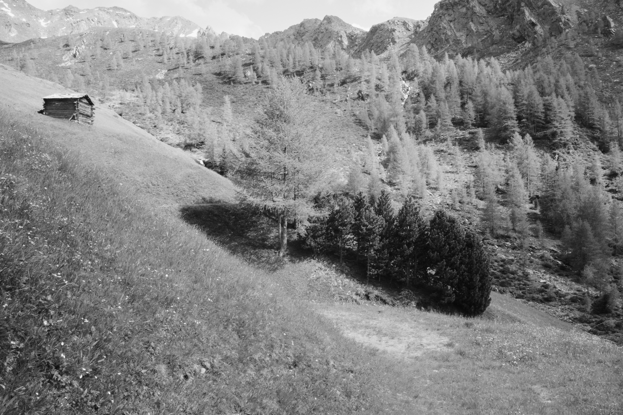 R0006677