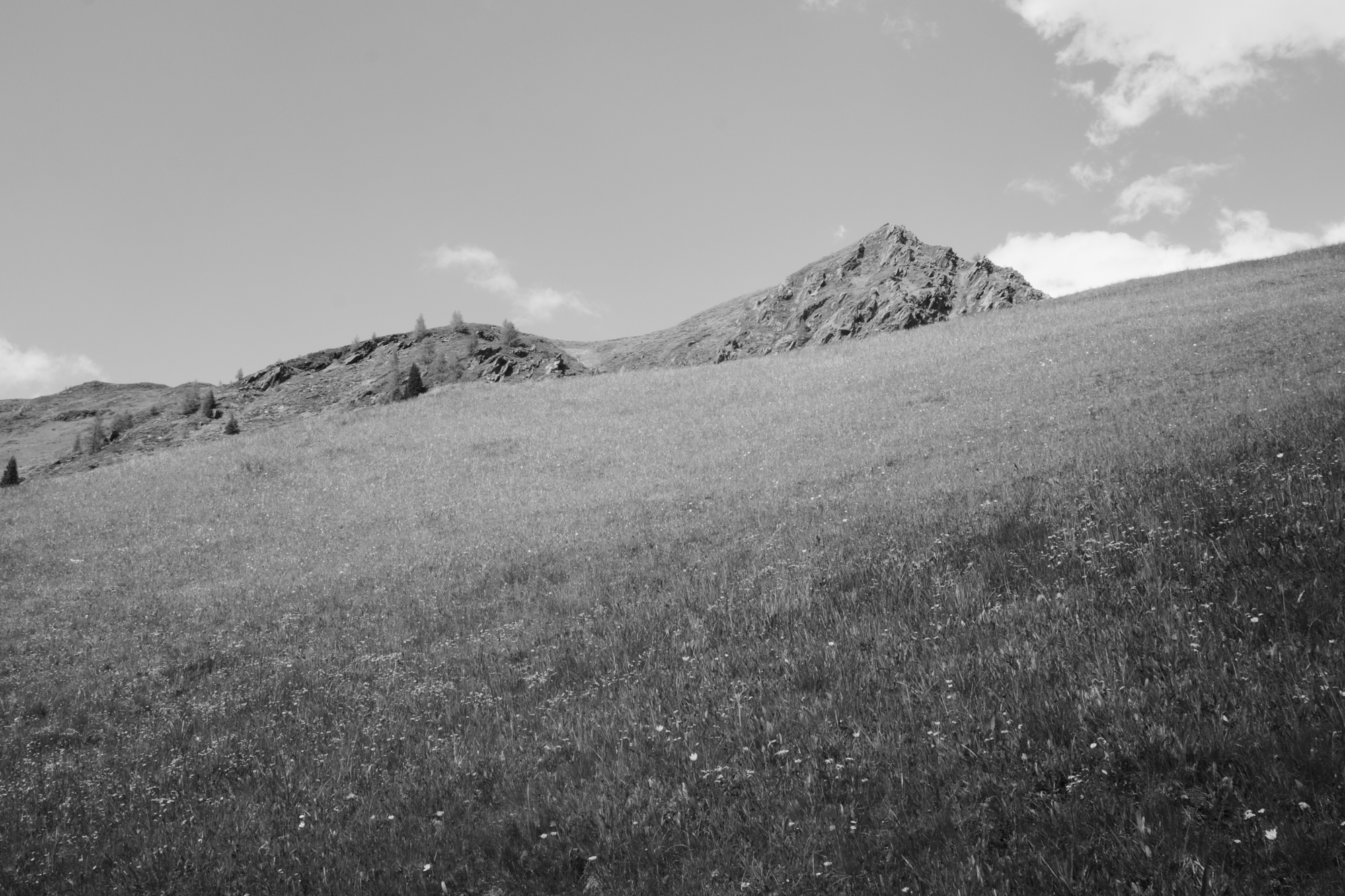 R0006678