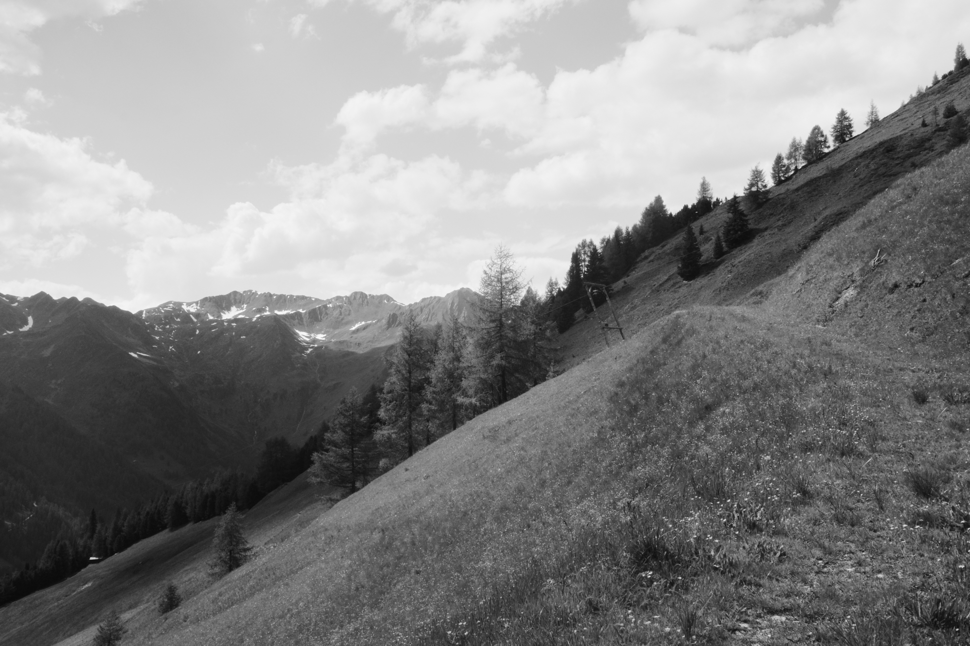 R0006682