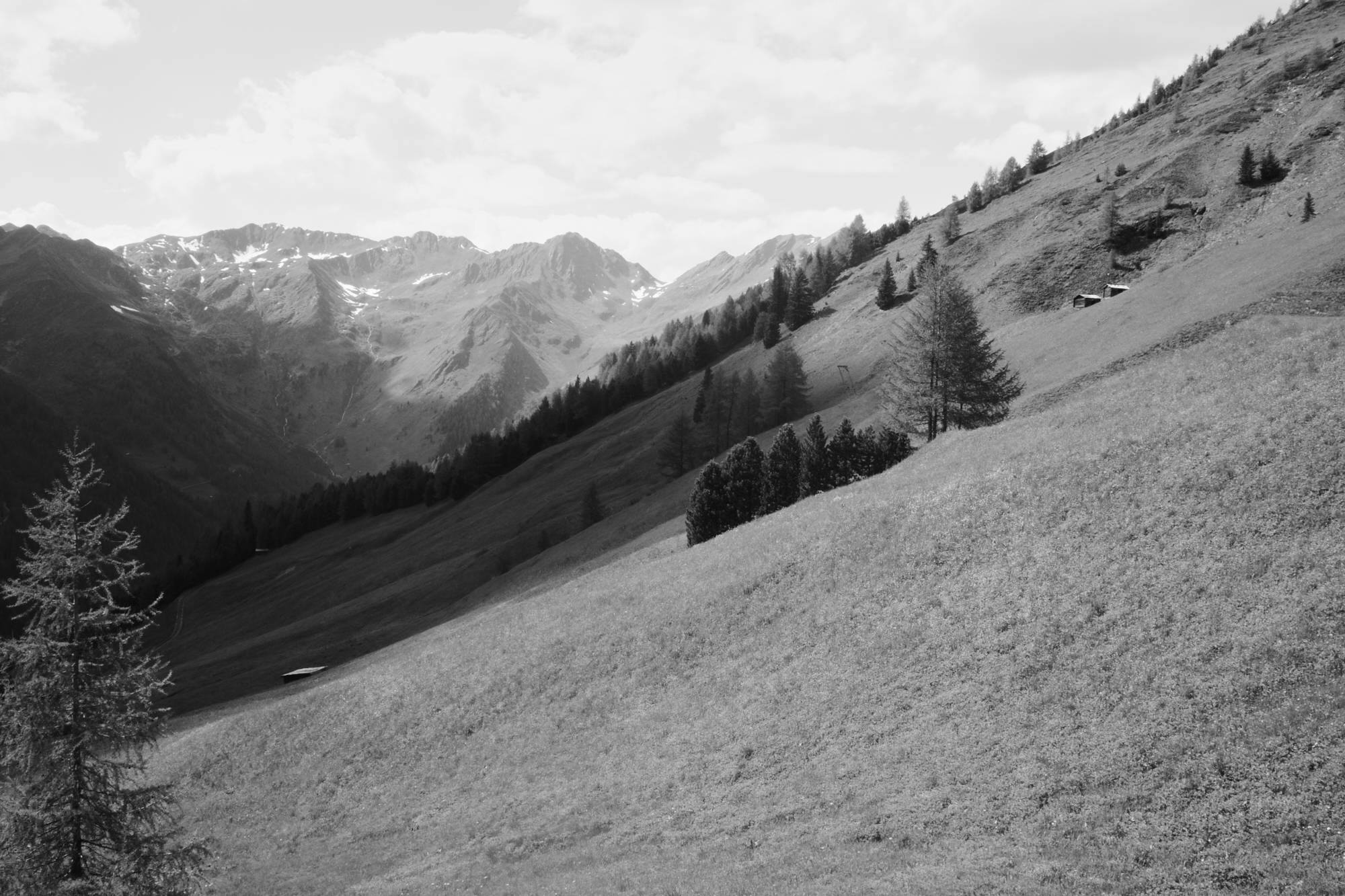 R0006690