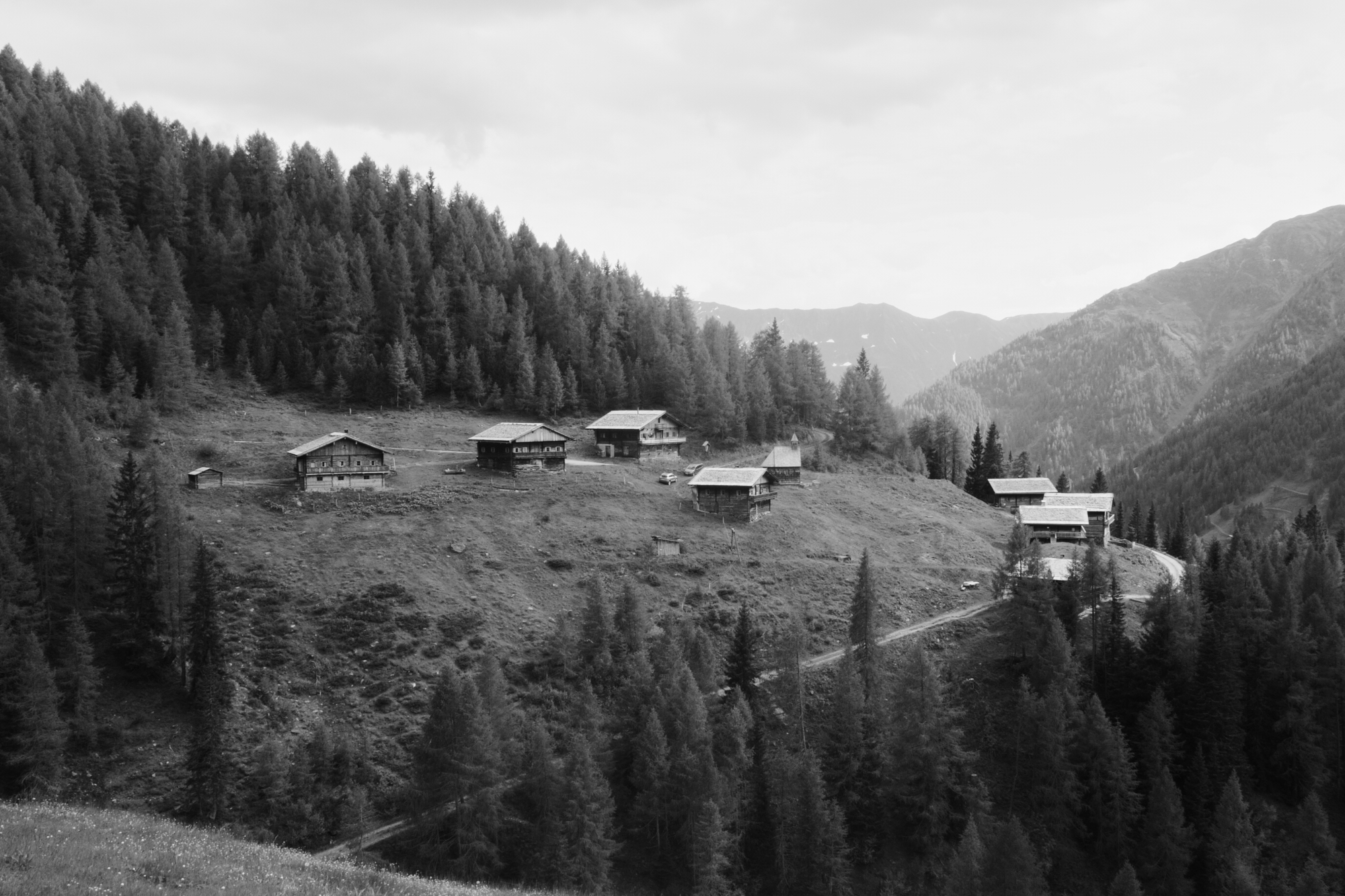 R0006699