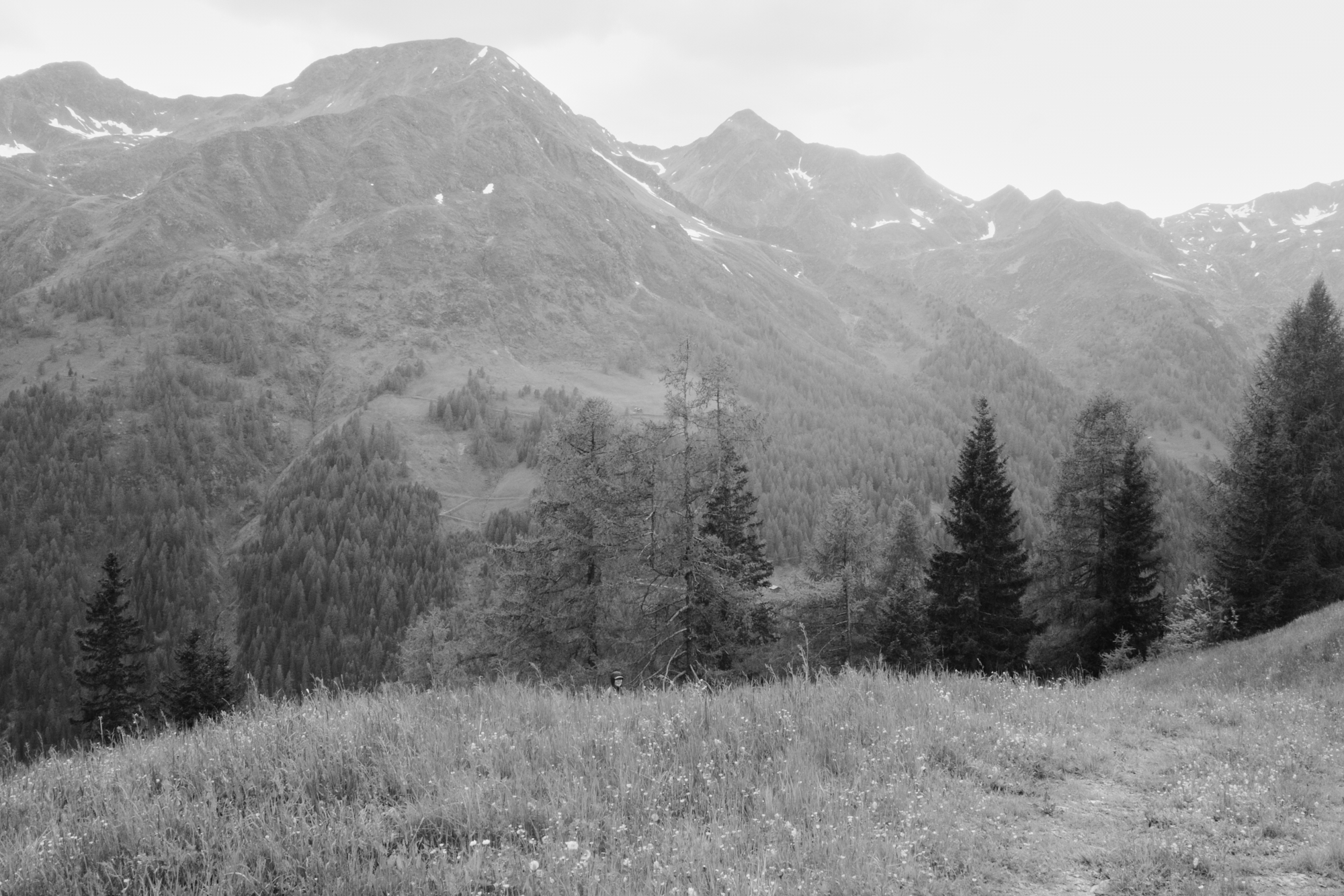 R0006701